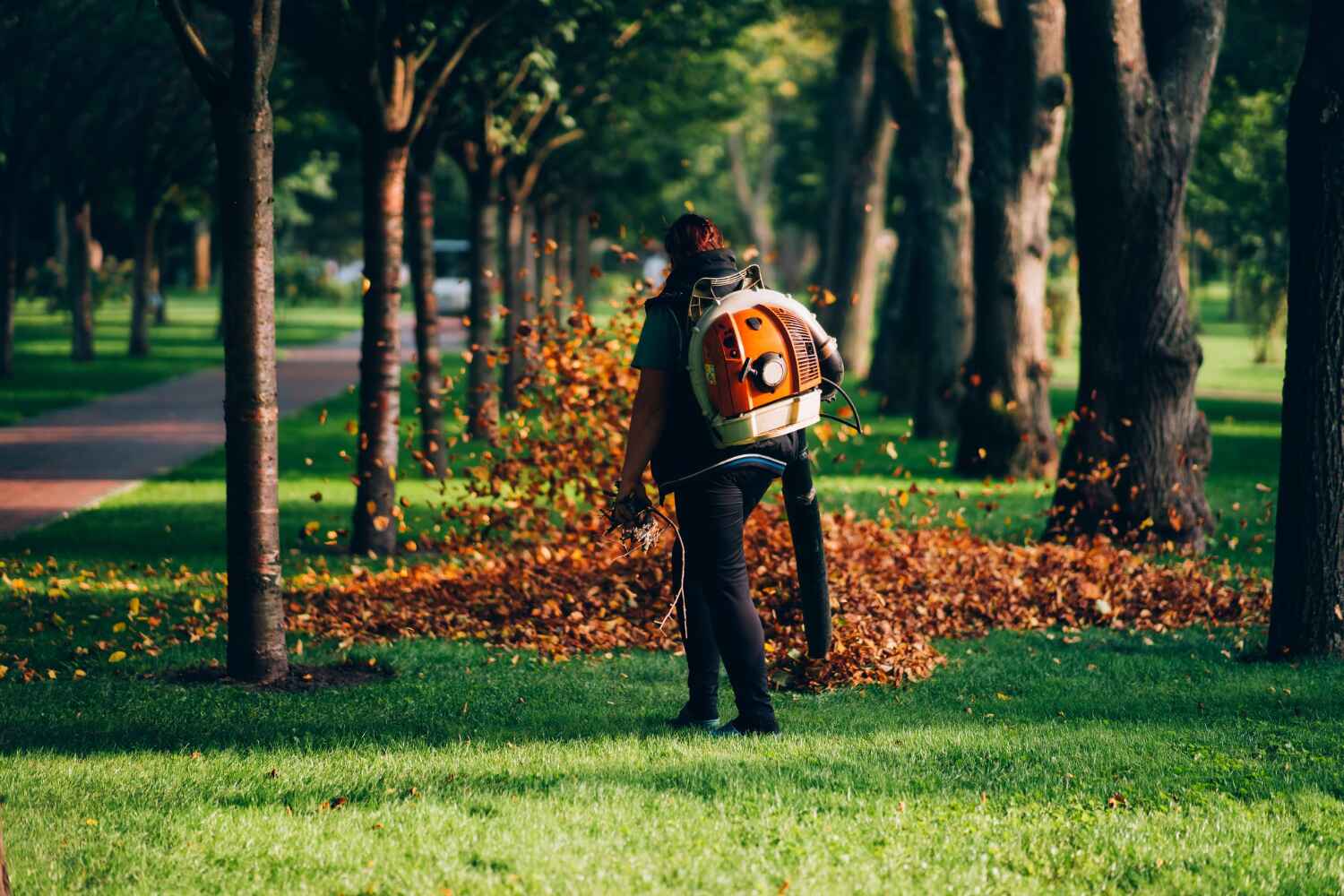 Best Best Tree Removal Services  in Lithia Springs, GA